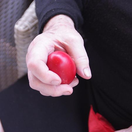 Dimitra Apartments G ゴウヴィア エクステリア 写真