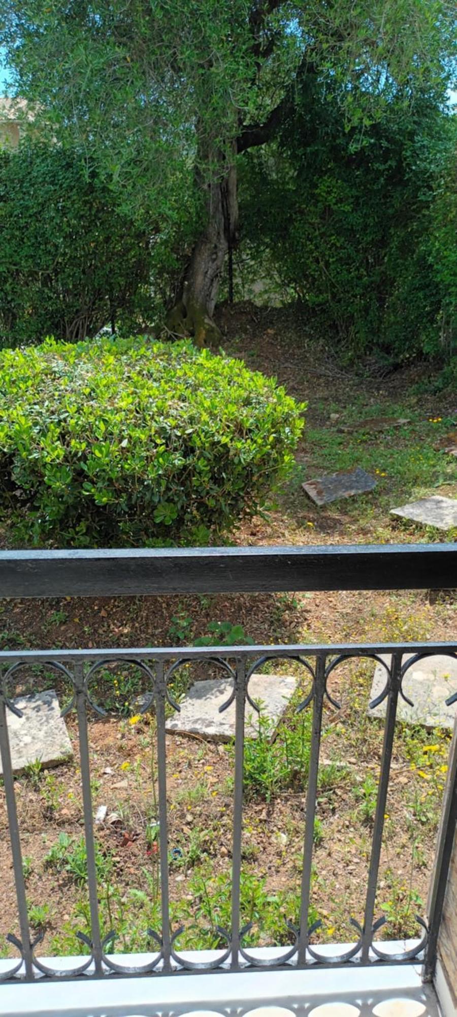 Dimitra Apartments G ゴウヴィア エクステリア 写真